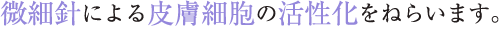 微細針による皮膚細胞の活性化をねらいます。